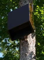 Bat house plans