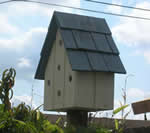 birdhouse plans
