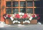 cedar window planter plans