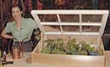 cold frame