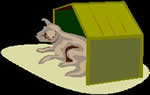 dog kennel