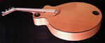Elastico Ashbory acoustic bass