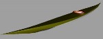 Igdlorssuit kayak plans