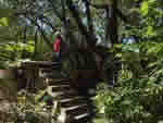 Platform tree house plans