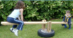 seesaw or teeter/totter