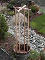 simplistic trellis plans