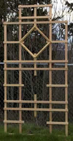 trellis plans
