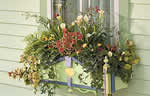 window planter plan ideas